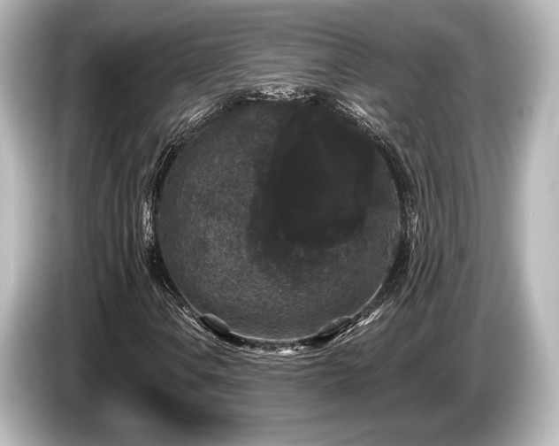 X0000085761106200703161111