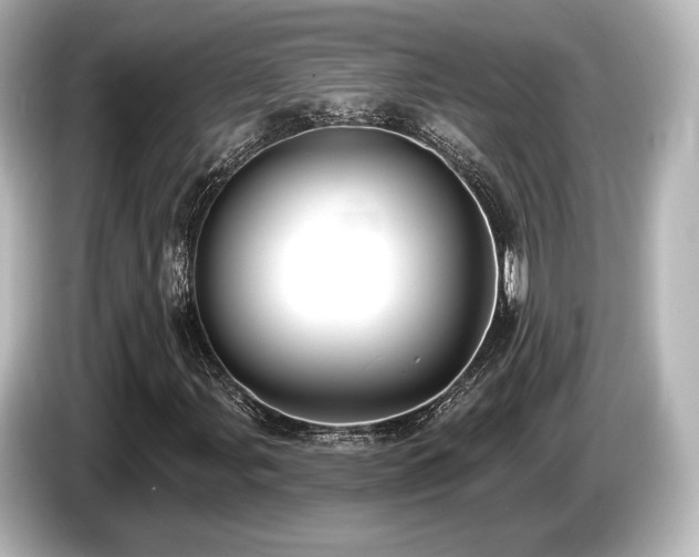X0000085761107200703161111
