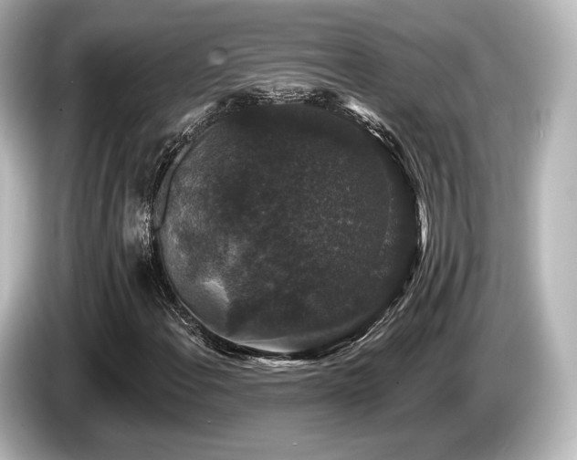 X0000085761108200703161111