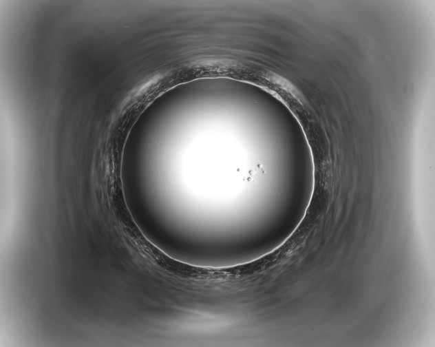 X0000085761111200703161111