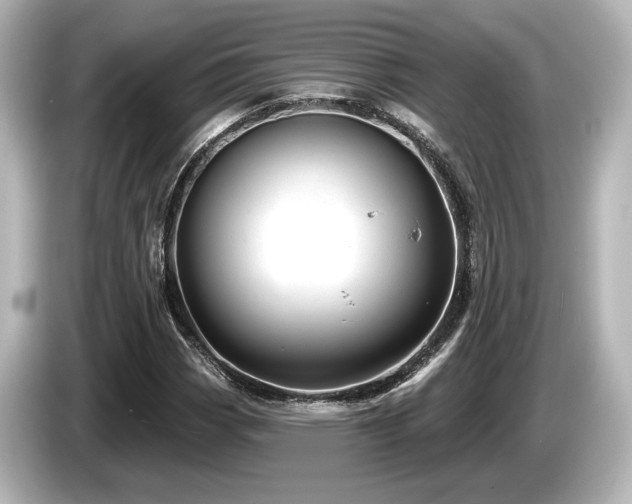 X0000085761113200703161111
