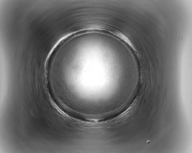X0000085761116200703161111
