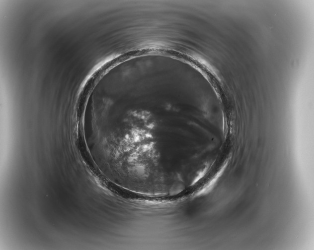X0000085761117200703161111