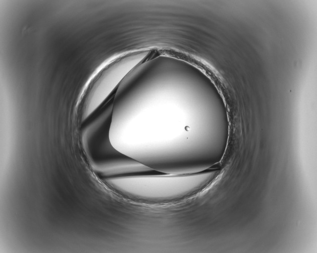 X0000085761118200703161111