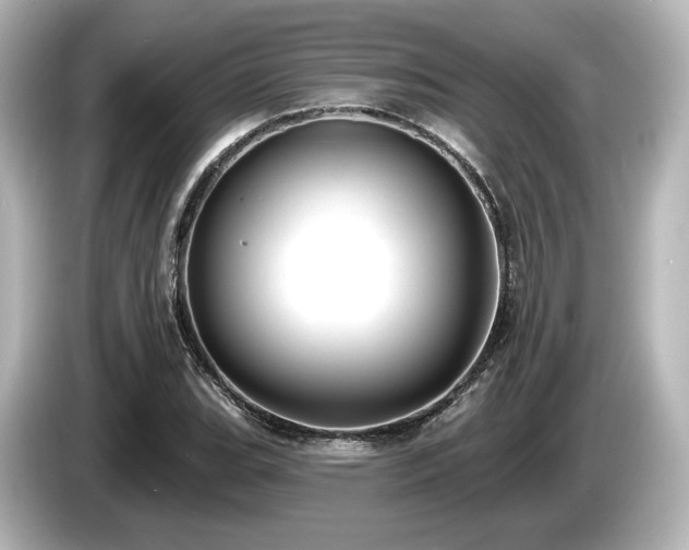 X0000085761119200703161111