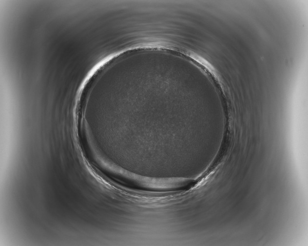 X0000085761120200703161111
