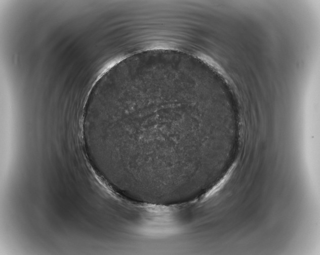X0000085761121200703161111