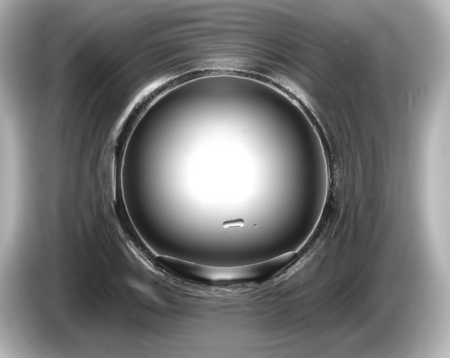 X0000085761123200703161111