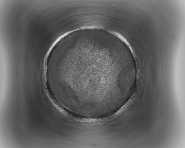 X0000085761124200703161112