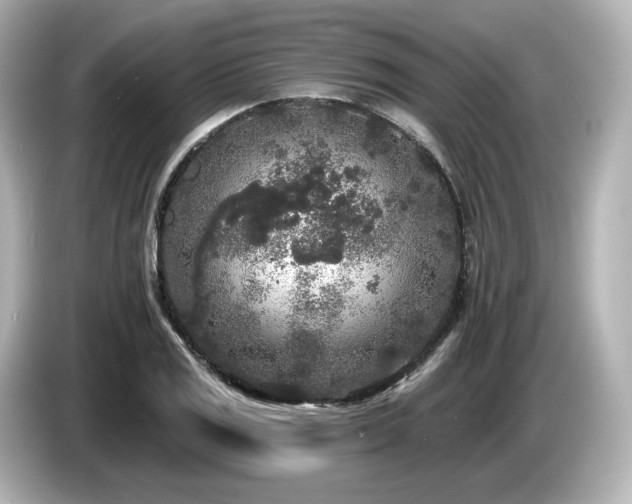 X0000085761125200703161112