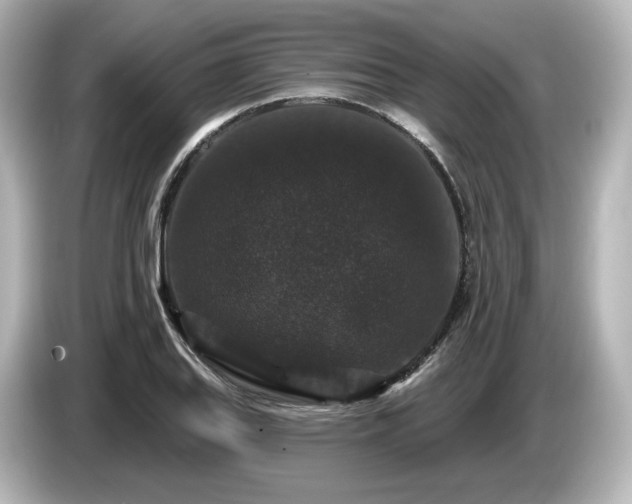 X0000085761127200703161112