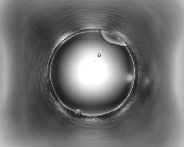 X0000085761129200703161112