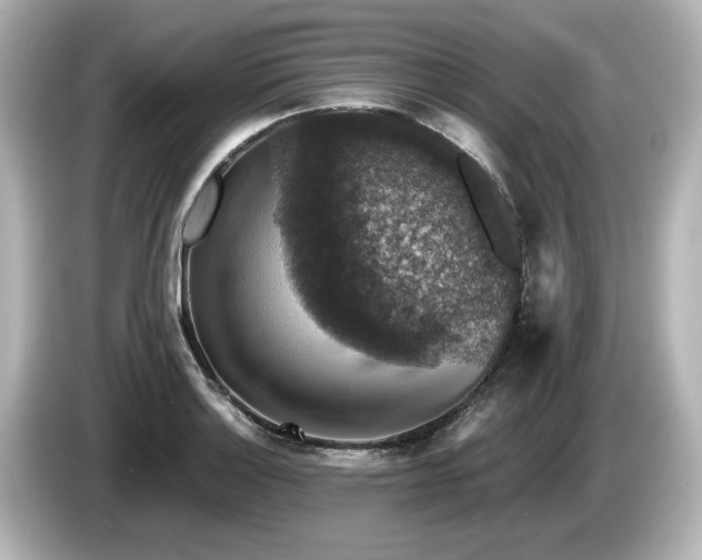 X0000085761132200703161112