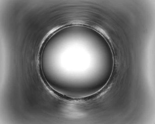 X0000085761133200703161112