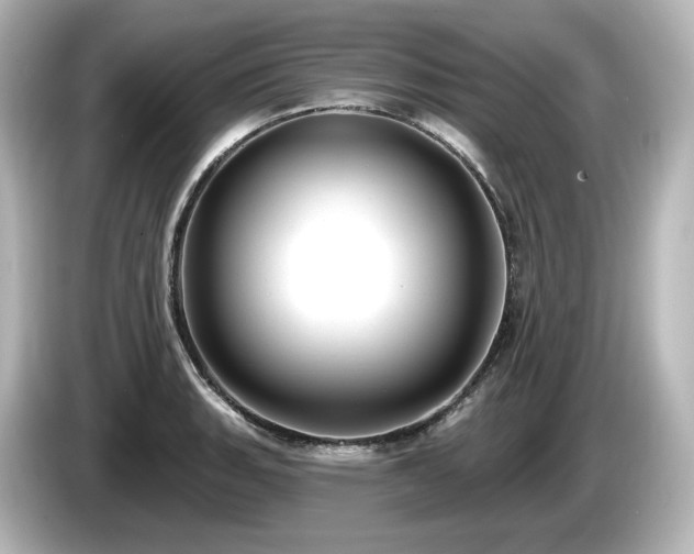X0000085761135200703161112