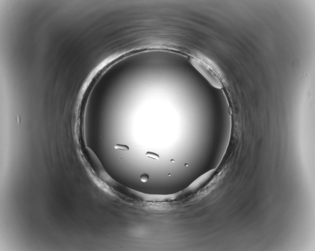X0000085761136200703161112