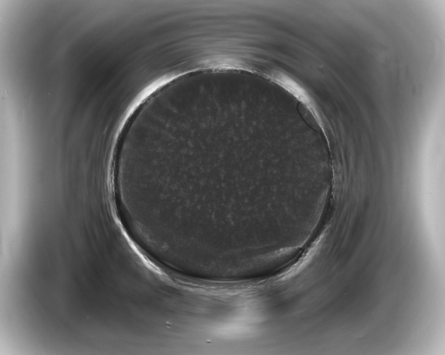 X0000085761141200703161112