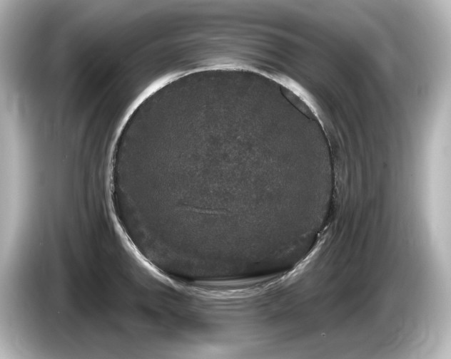 X0000085761142200703161112