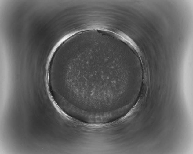 X0000085761144200703161112