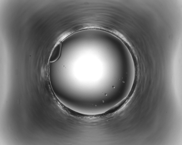 X0000085761145200703161112