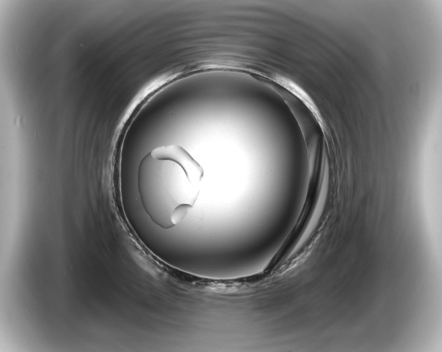 X0000085761146200703161112