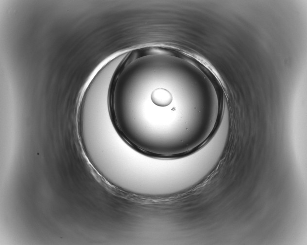 X0000085761148200703161112