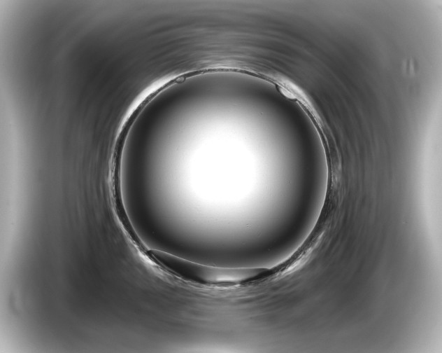 X0000085761149200703161112