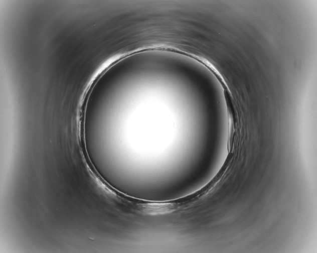 X0000085761151200703161112