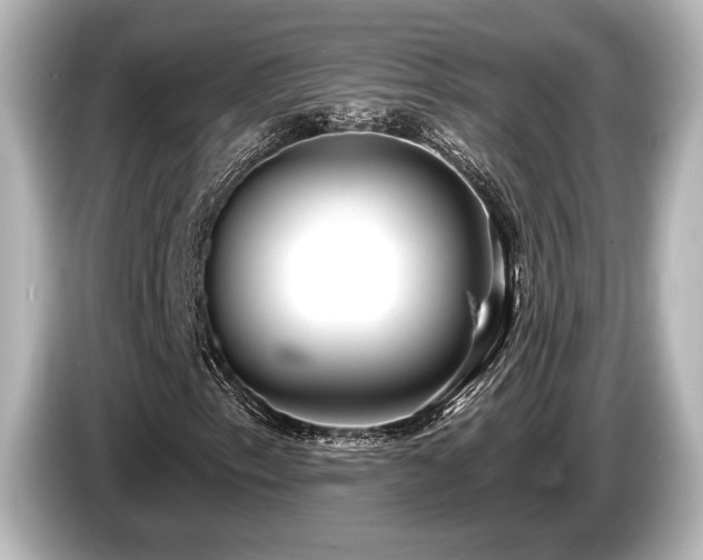 X0000085761153200703161111