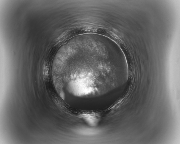 X0000085761154200703161111