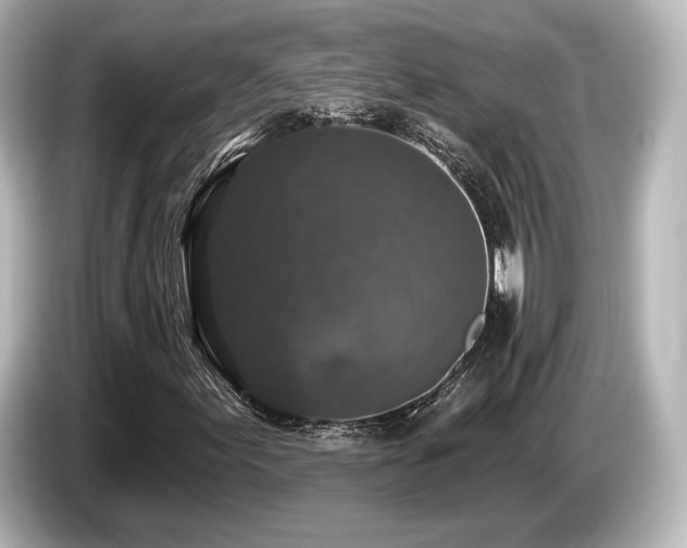 X0000085761155200703161111