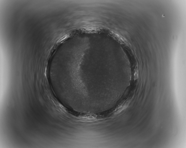 X0000085761156200703161111
