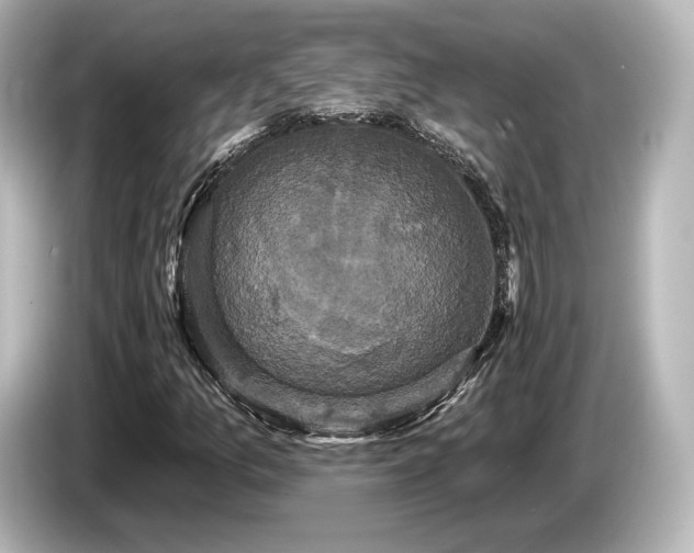 X0000085761157200703161111