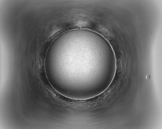 X0000085761158200703161111