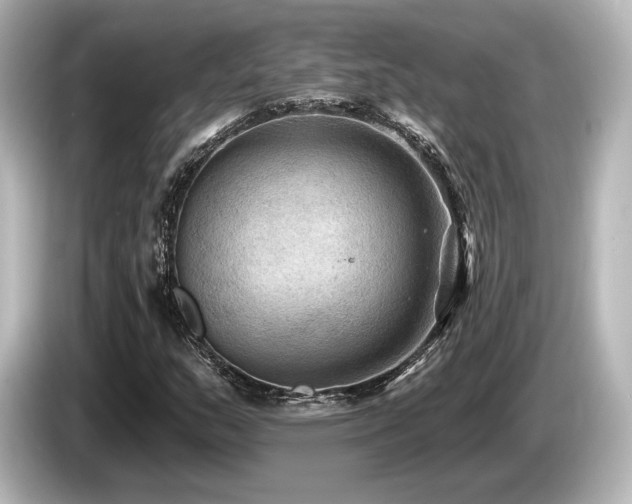 X0000085761159200703161111