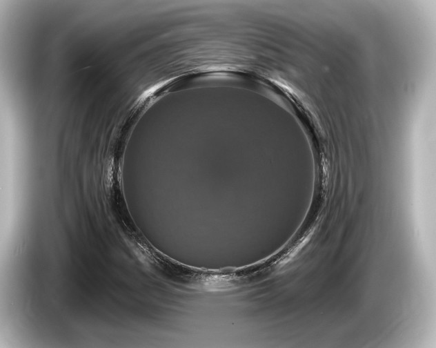 X0000085761161200703161111