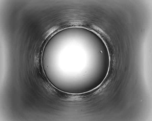 X0000085761162200703161111