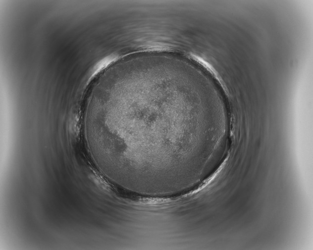 X0000085761163200703161111