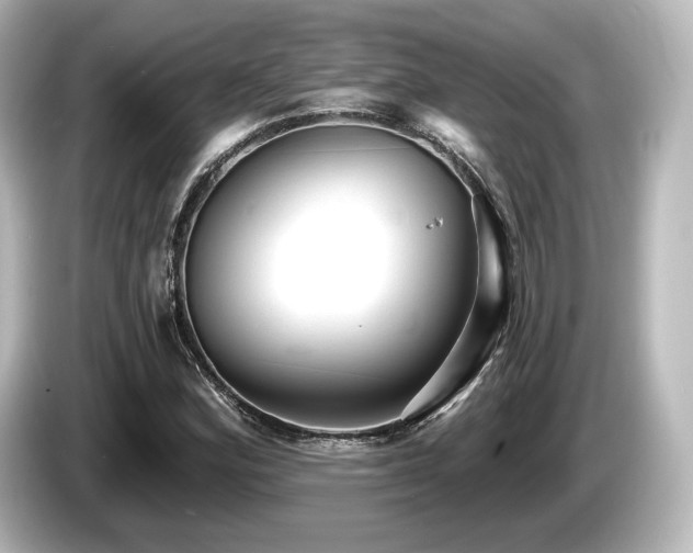 X0000085761164200703161111