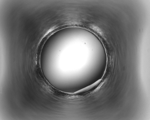 X0000085761165200703161111