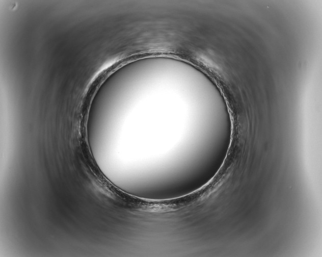 X0000085761166200703161111