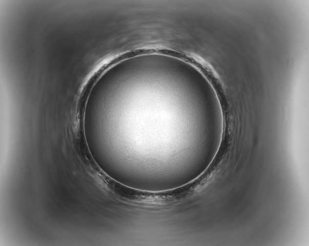 X0000085761167200703161111