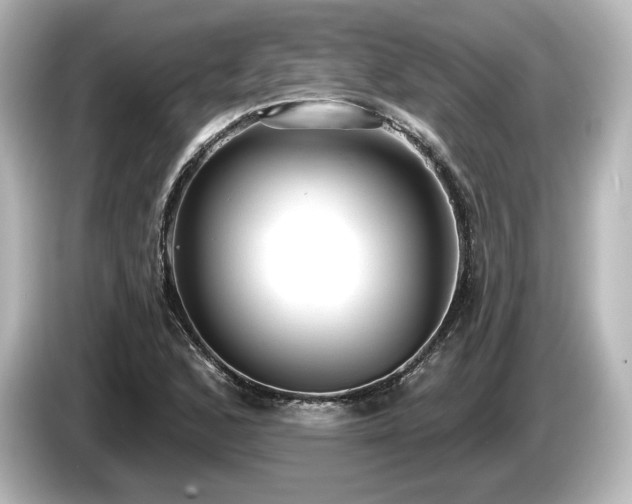 X0000085761168200703161111