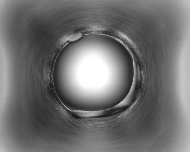 X0000085761169200703161111
