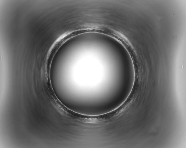 X0000085761172200703161111
