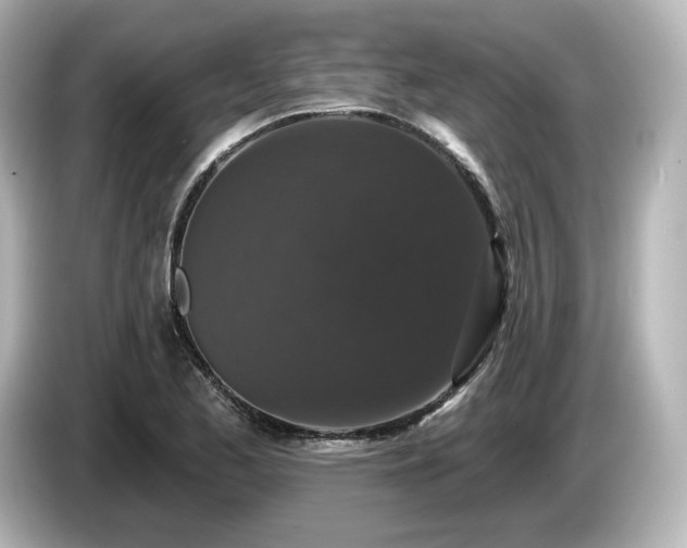 X0000085761173200703161111