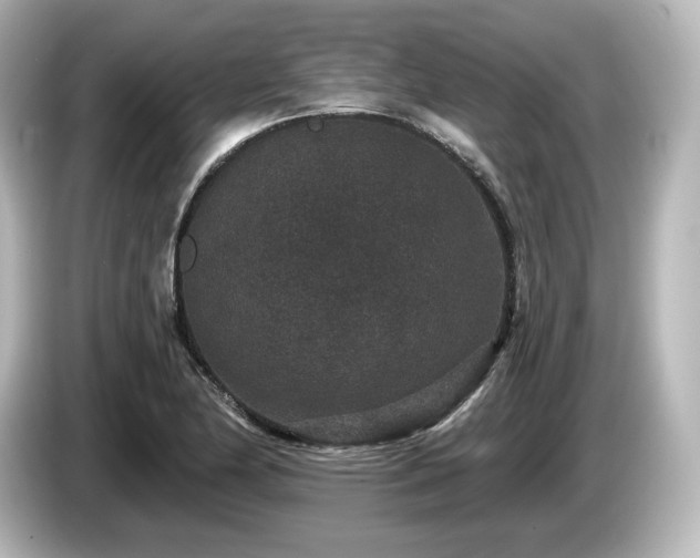 X0000085761174200703161111