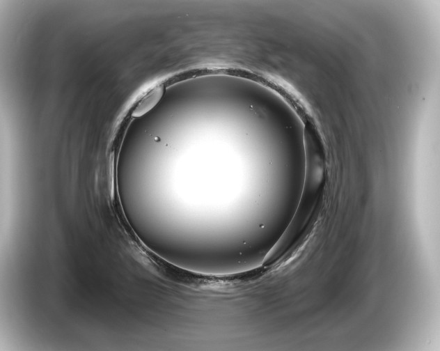 X0000085761175200703161111