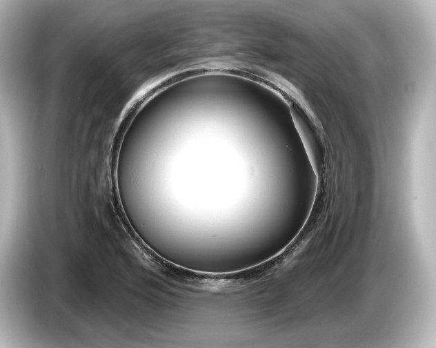 X0000085761176200703161111