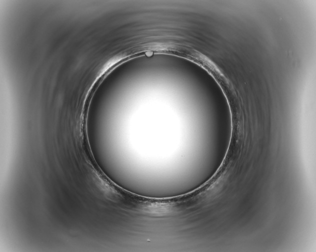 X0000085761178200703161111